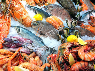 Best Quality Frozen Seafood