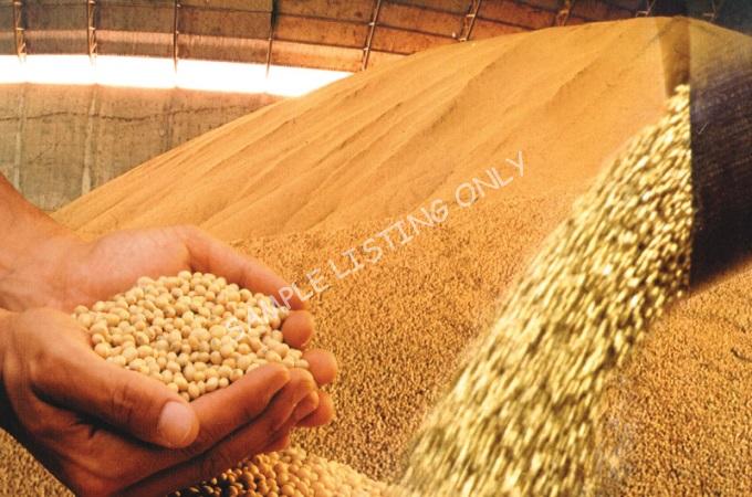 Fresh Dry Burundi Soya Beans