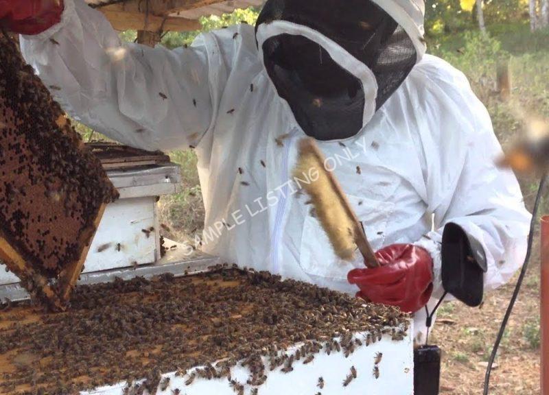 Sweet Burundi Honey